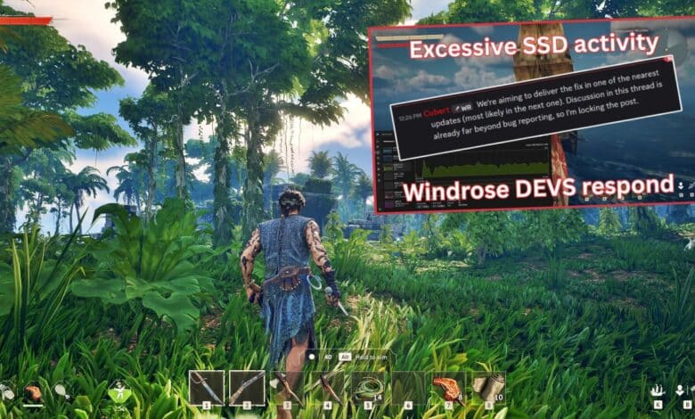 Windrose